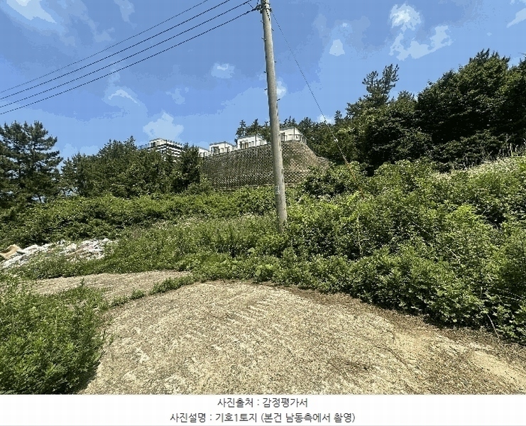 2025타경51382 충청남도 태안군 소원면 모항리 466-15 농지 경매 이미지
