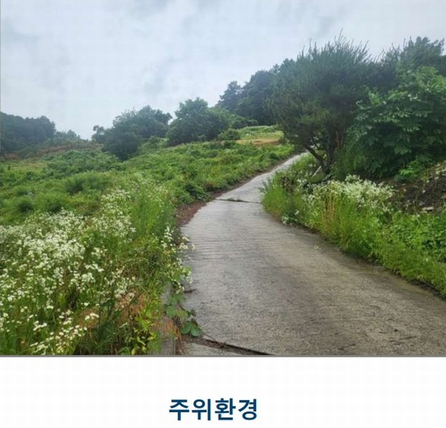 2025타경51395 충청북도 괴산군 사리면 화산리 725 농지 경매 이미지