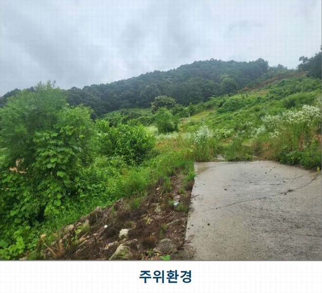 2025타경51395 충청북도 괴산군 사리면 화산리 725 농지 경매 이미지