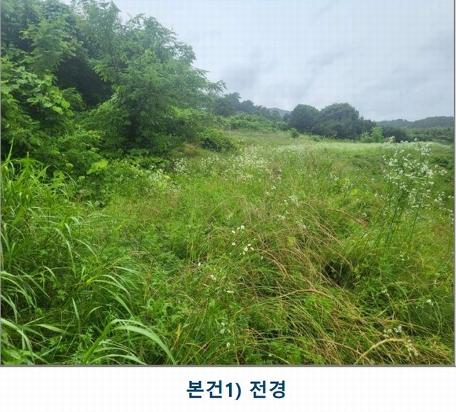 2025타경51395 충청북도 괴산군 사리면 화산리 725 농지 경매 이미지