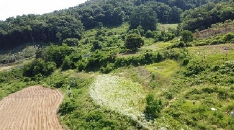 2025타경51395 충청북도 괴산군 사리면 화산리 725 농지 경매 이미지