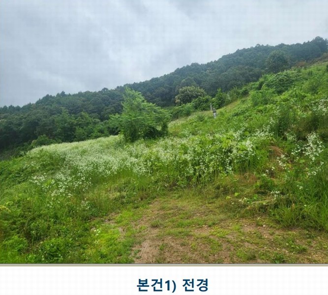 2025타경51395 충청북도 괴산군 사리면 화산리 725 농지 경매 이미지
