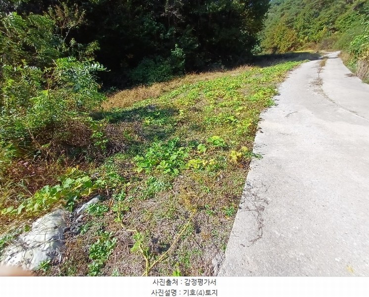 2024타경1721 경상북도 예천군 호명읍 종산리 703 농지 경매 이미지