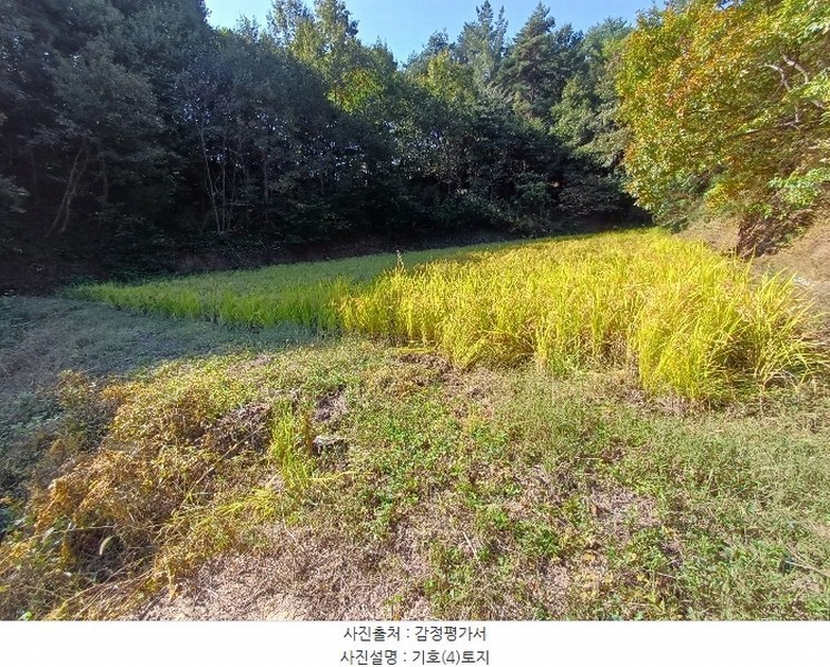 2024타경1721 경상북도 예천군 호명읍 종산리 703 농지 경매 이미지