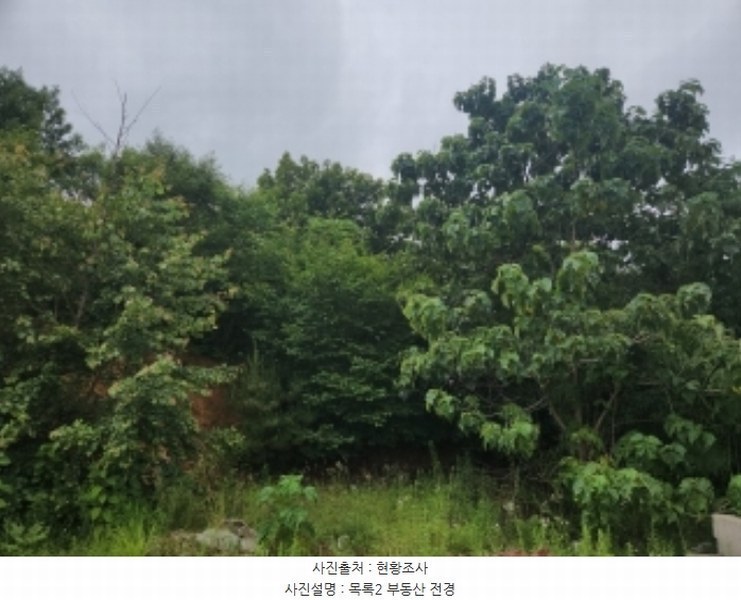 2024타경538865 인천광역시 중구 중산동 1216-24 임야 경매 이미지