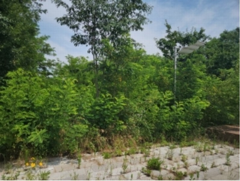 2024타경538872 인천광역시 중구 운북동 1354-8 대지 경매 이미지
