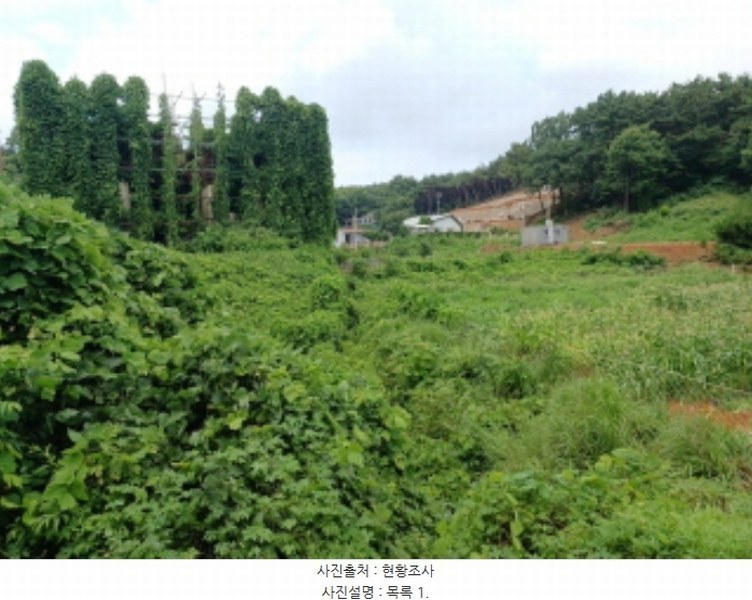 2024타경544235 인천광역시 옹진군 영흥면 내리 210-23 임야 경매 이미지
