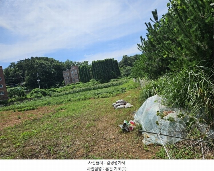 2024타경544235 인천광역시 옹진군 영흥면 내리 210-23 임야 경매 이미지