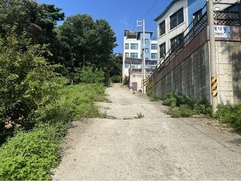 2024타경547050 인천광역시 옹진군 영흥면 내리 725-61 도로 경매 이미지
