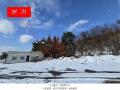 2024타경574137 인천광역시 중구 을왕동 179-55 잡종지 경매 이미지