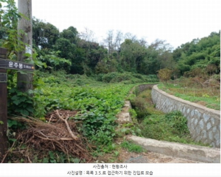 2024타경566921 인천광역시 옹진군 덕적면 진리 산61 임야 경매 이미지