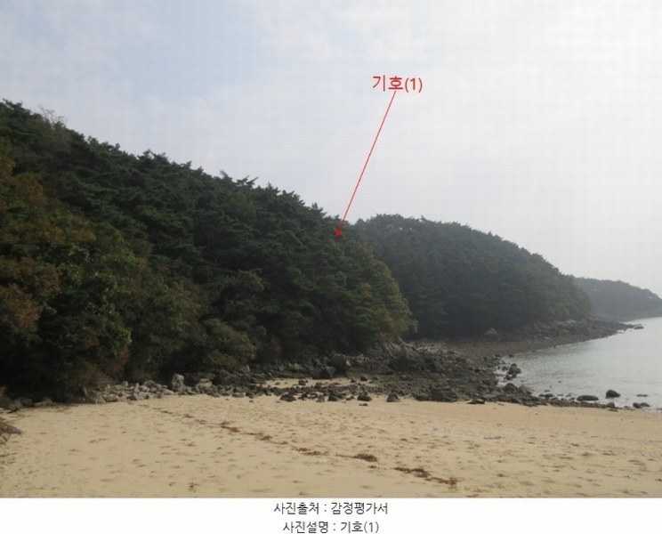 2024타경566921 인천광역시 옹진군 덕적면 진리 산61 임야 경매 이미지