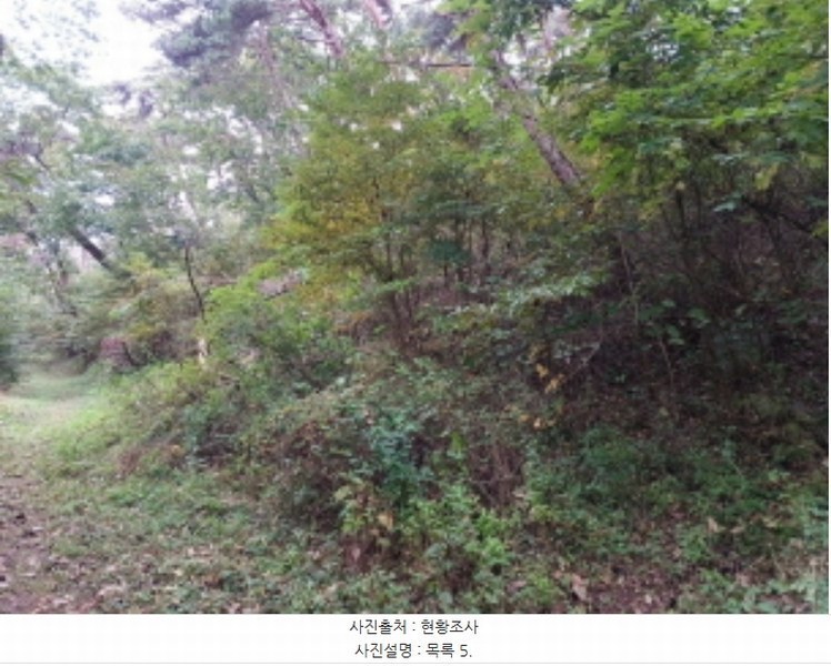 2024타경566921 인천광역시 옹진군 덕적면 진리 산61 임야 경매 이미지