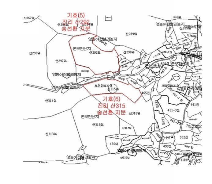 2024타경566921 인천광역시 옹진군 덕적면 진리 산61 임야 경매 이미지