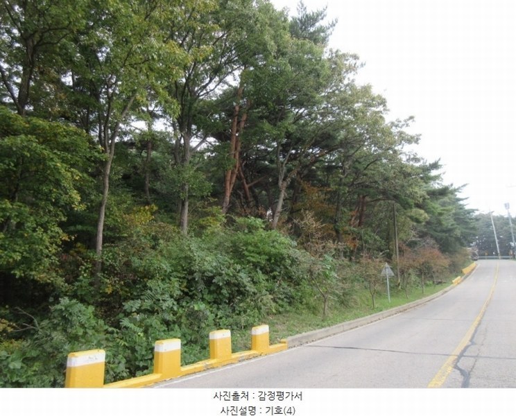 2024타경566921 인천광역시 옹진군 덕적면 진리 산61 임야 경매 이미지