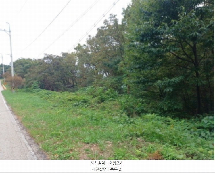 2024타경566921 인천광역시 옹진군 덕적면 진리 산61 임야 경매 이미지