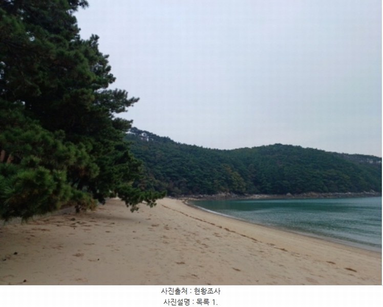 2024타경566921 인천광역시 옹진군 덕적면 진리 산61 임야 경매 이미지