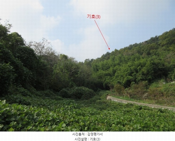 2024타경566921 인천광역시 옹진군 덕적면 진리 산61 임야 경매 이미지