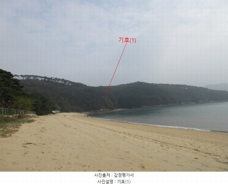 2024타경566921 인천광역시 옹진군 덕적면 진리 산61 임야 경매 이미지