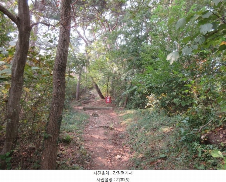 2024타경566921 인천광역시 옹진군 덕적면 진리 산61 임야 경매 이미지