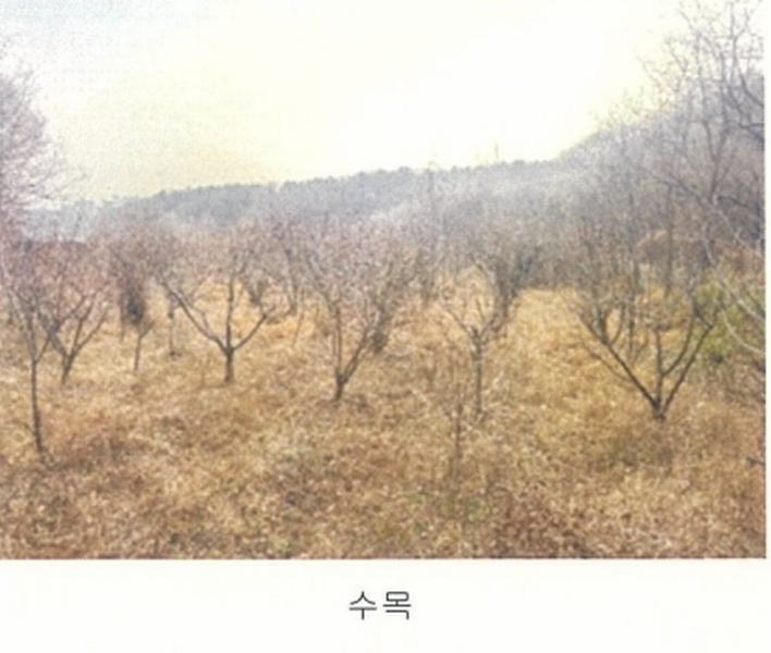 2024타경64801 경기도 고양시 덕양구 주교동 495 농지 경매 이미지