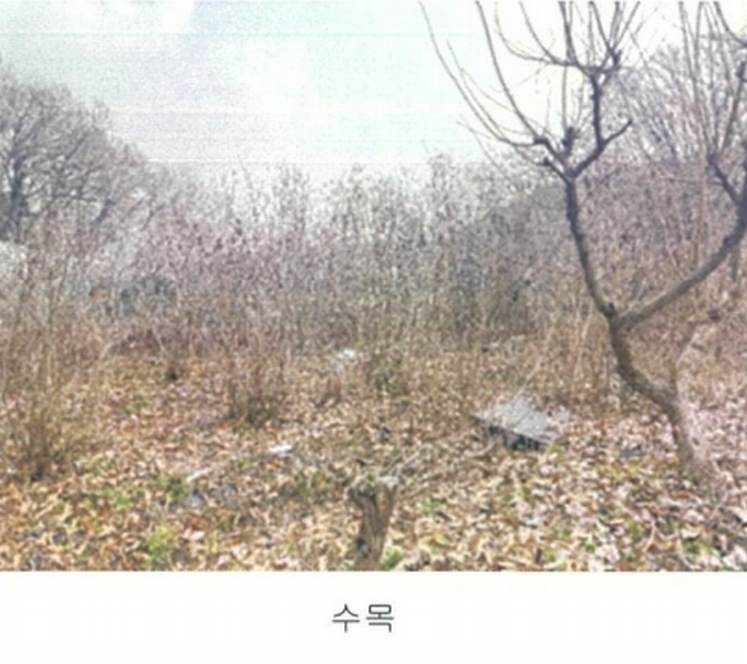 2024타경64801 경기도 고양시 덕양구 주교동 495 농지 경매 이미지