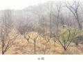 2024타경64801 경기도 고양시 덕양구 주교동 495 농지 경매 이미지