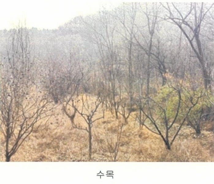 2024타경64801 경기도 고양시 덕양구 주교동 495 농지 경매 이미지