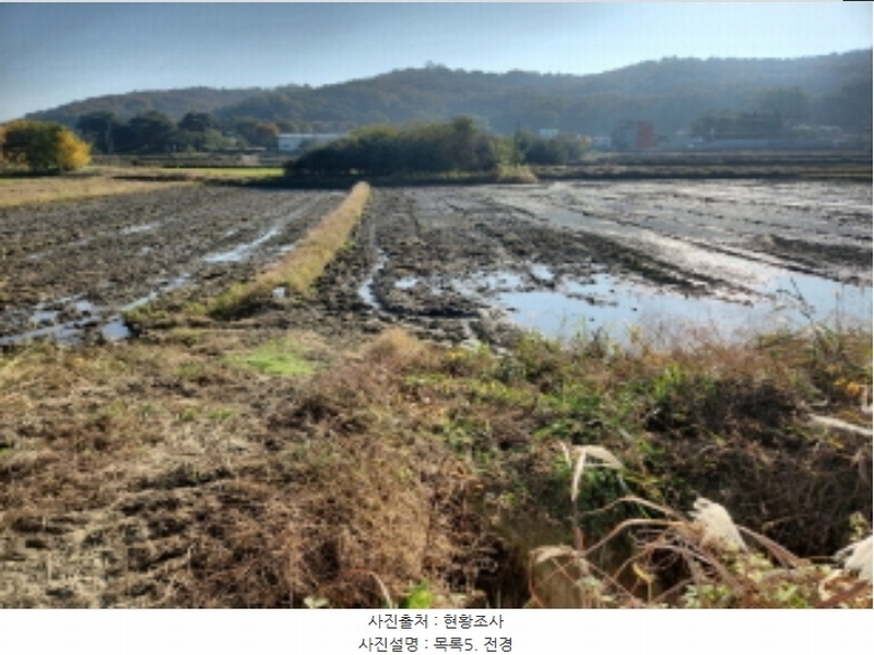 2024타경565331 인천광역시 강화군 강화읍 국화리 43-5 농지 경매 이미지