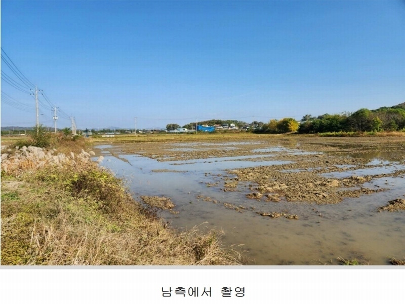 2024타경565331 인천광역시 강화군 강화읍 국화리 43-5 농지 경매 이미지