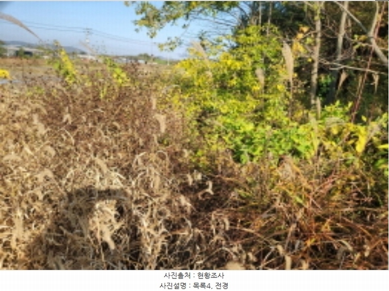2024타경565331 인천광역시 강화군 강화읍 국화리 43-5 농지 경매 이미지