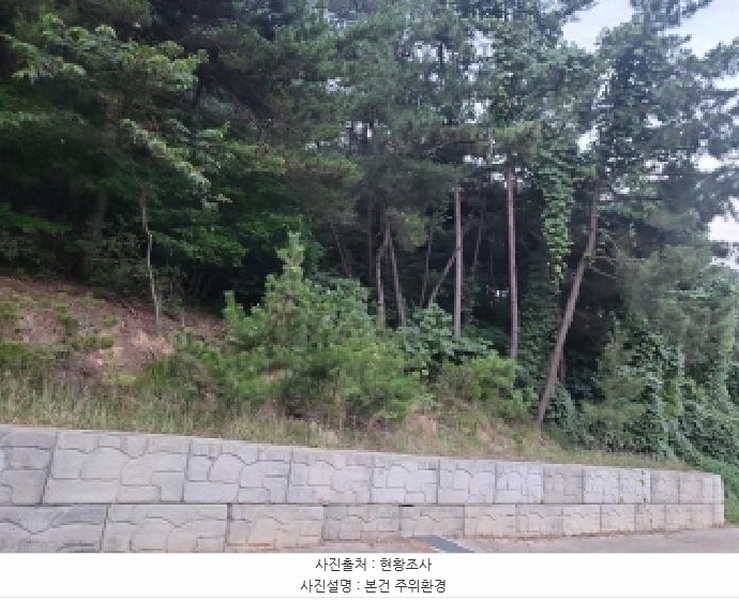 2025타경510745 인천광역시 옹진군 영흥면 외리 741-17 임야 경매 이미지