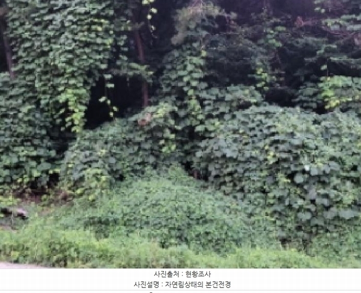 2025타경510745 인천광역시 옹진군 영흥면 외리 741-17 임야 경매 이미지