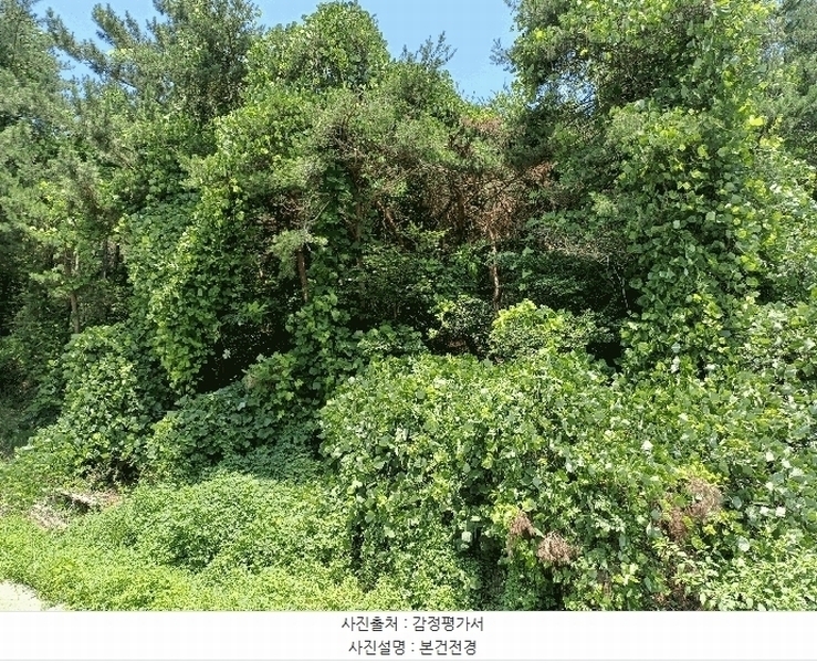 2025타경510745 인천광역시 옹진군 영흥면 외리 741-17 임야 경매 이미지
