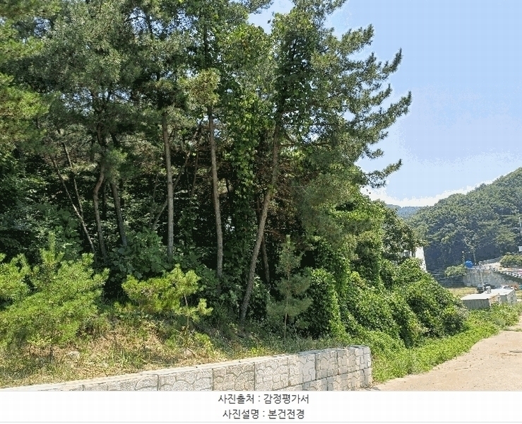 2025타경510745 인천광역시 옹진군 영흥면 외리 741-17 임야 경매 이미지