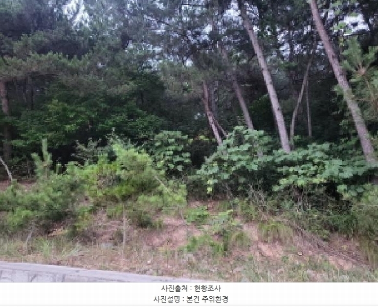 2025타경510745 인천광역시 옹진군 영흥면 외리 741-17 임야 경매 이미지