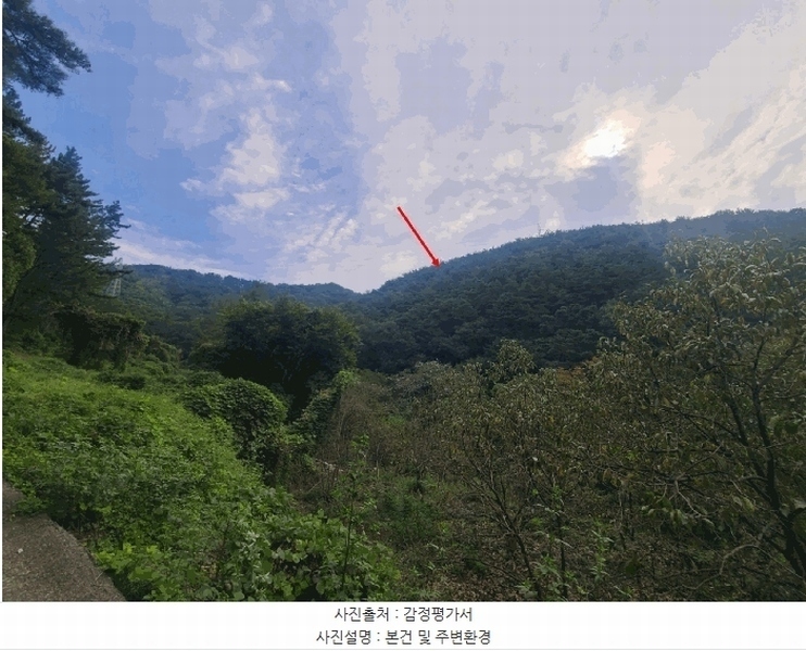 2025타경309 경상남도 창원시 마산회원구 내서읍 상곡리 산24 임야 경매 이미지