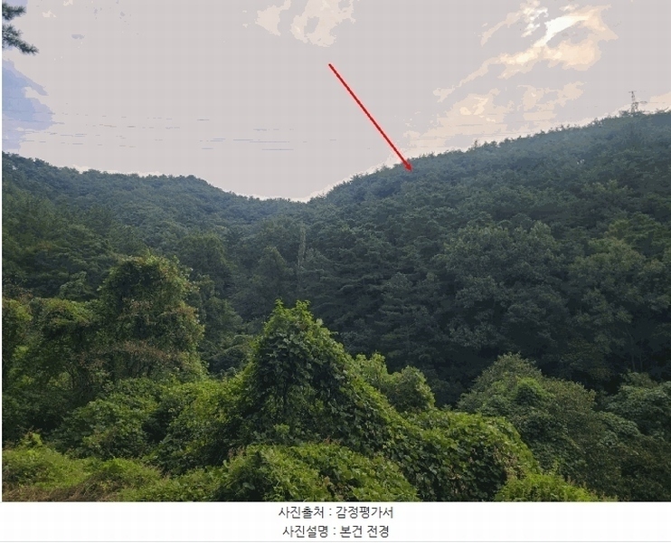 2025타경309 경상남도 창원시 마산회원구 내서읍 상곡리 산24 임야 경매 이미지