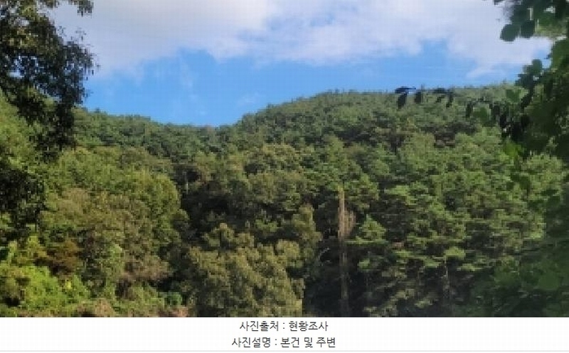 2025타경309 경상남도 창원시 마산회원구 내서읍 상곡리 산24 임야 경매 이미지