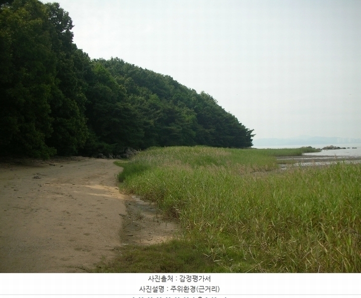 2024타경539691 인천광역시 강화군 길상면 동검리 산134 임야 경매 이미지