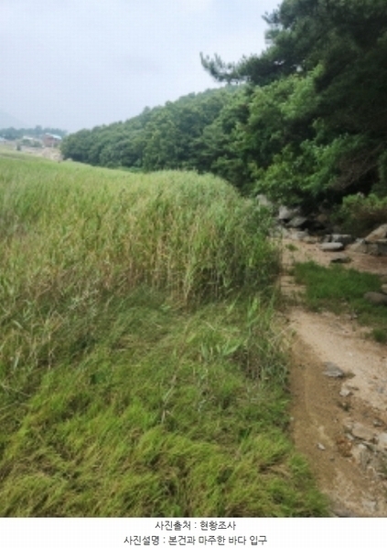 2024타경539691 인천광역시 강화군 길상면 동검리 산134 임야 경매 이미지