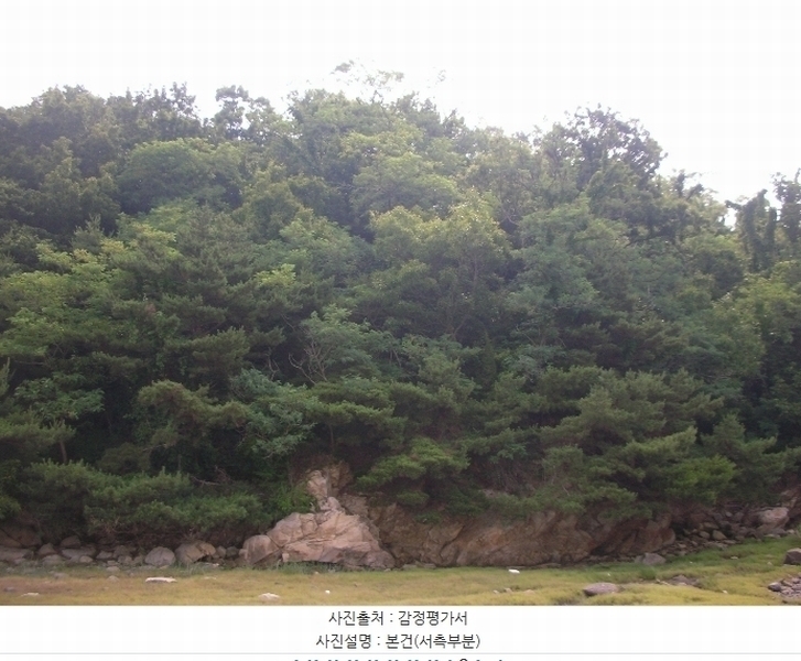 2024타경539691 인천광역시 강화군 길상면 동검리 산134 임야 경매 이미지