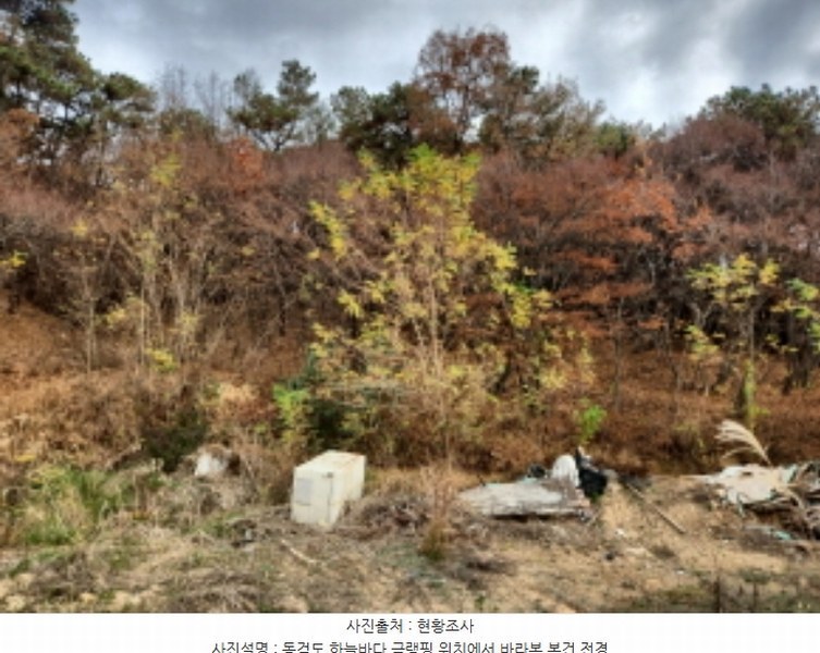 2024타경570906 인천광역시 강화군 길상면 동검리 산59 임야 경매 이미지
