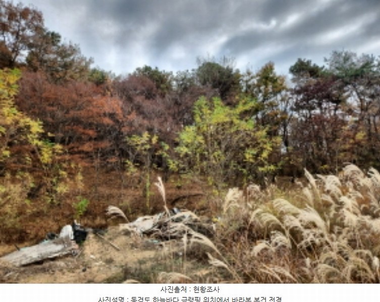 2024타경570906 인천광역시 강화군 길상면 동검리 산59 임야 경매 이미지