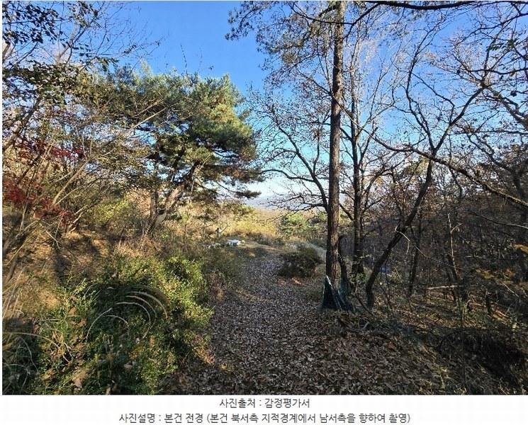 2024타경570906 인천광역시 강화군 길상면 동검리 산59 임야 경매 이미지