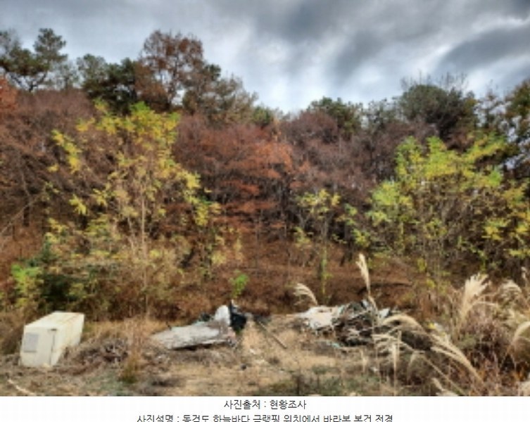 2024타경570906 인천광역시 강화군 길상면 동검리 산59 임야 경매 이미지