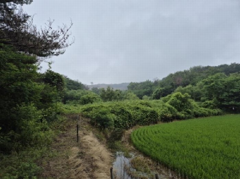2025타경435 경상북도 경주시 천북면 화산리 923 농지 경매 이미지