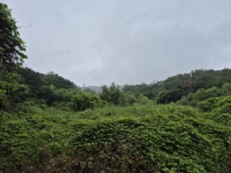 2025타경435 경상북도 경주시 천북면 화산리 923 농지 경매 이미지
