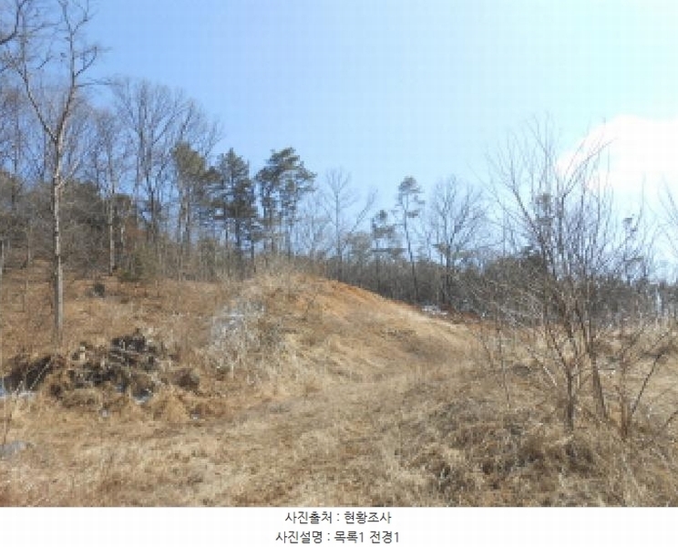 2025타경501792 세종특별자치시 연서면 신대리 298-2 임야 경매 이미지