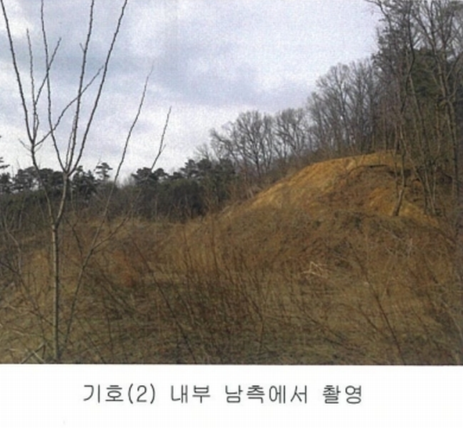 2025타경501792 세종특별자치시 연서면 신대리 298-2 임야 경매 이미지